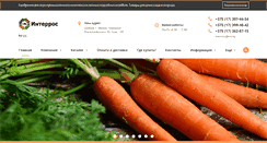 Desktop Screenshot of interros.by